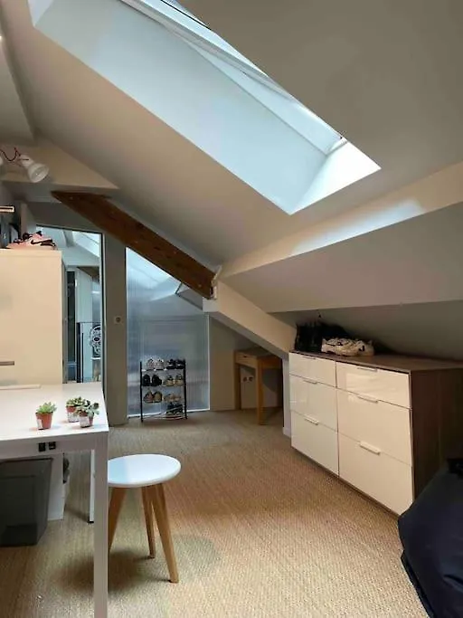 Appartement Loft Centre Ville Situe Dans Rue Calme Grenoble