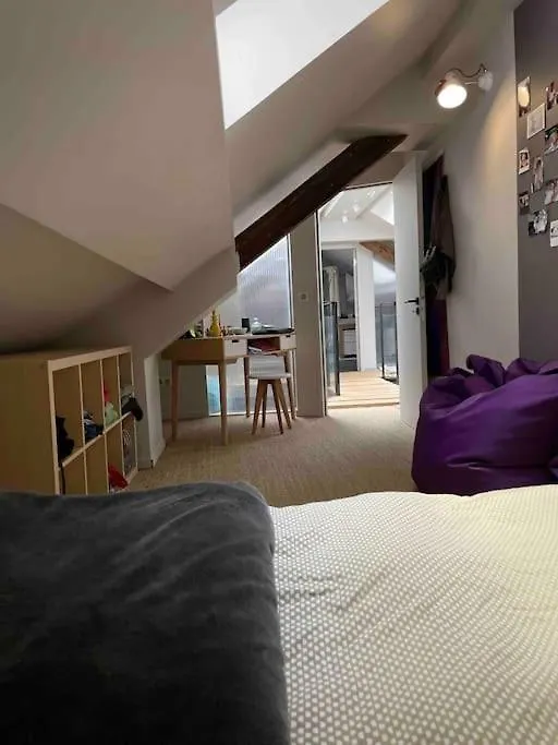 Appartement Loft Centre Ville Situe Dans Rue Calme Grenoble