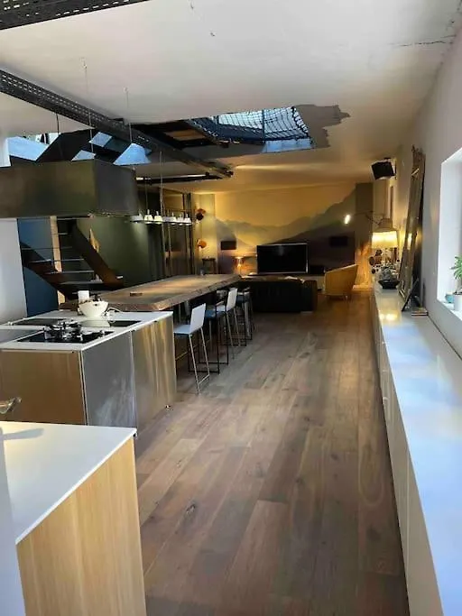 公寓 Appartement Loft Centre Ville Situe Dans Rue Calme 格勒诺布尔