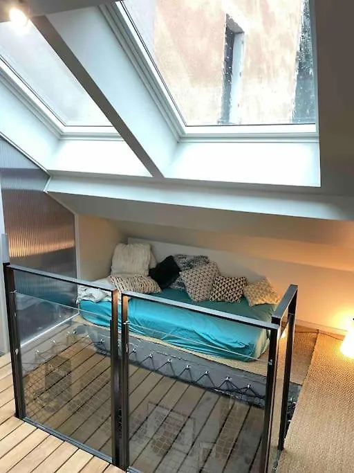 Appartement Loft Centre Ville Situe Dans Rue Calme 格勒诺布尔 公寓