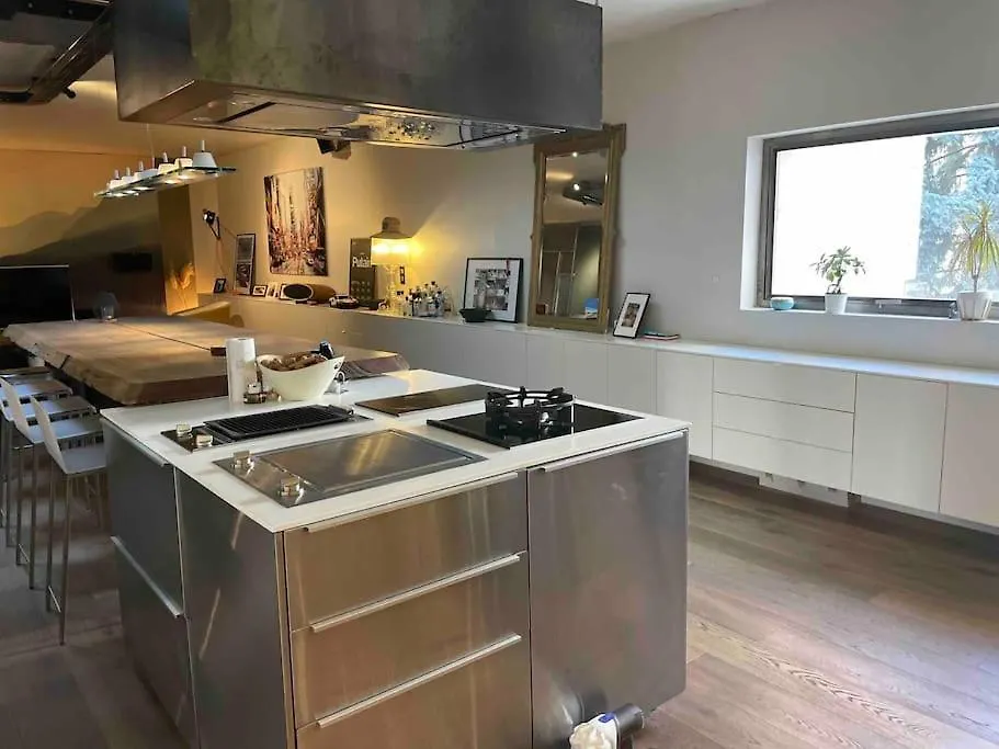 公寓 Appartement Loft Centre Ville Situe Dans Rue Calme 格勒诺布尔 法国