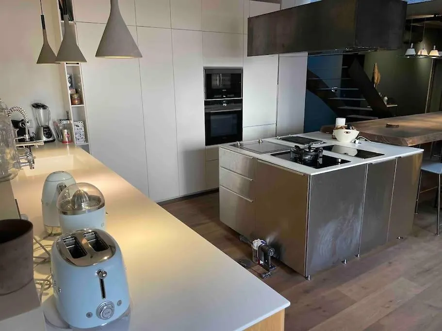 Appartement Loft Centre Ville Situe Dans Rue Calme 格勒诺布尔