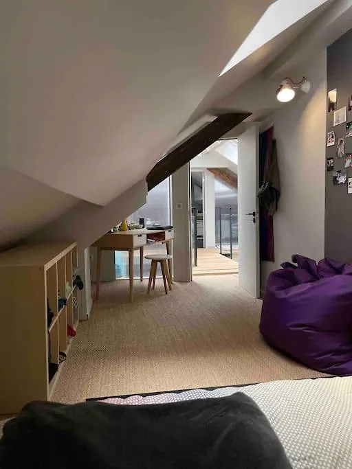 Appartement Loft Centre Ville Situe Dans Rue Calme 格勒诺布尔 0*,