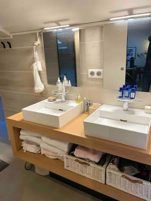 Appartement Loft Centre Ville Situe Dans Rue Calme 格勒诺布尔