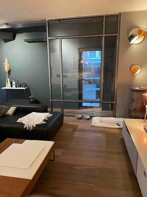 Appartement Loft Centre Ville Situe Dans Rue Calme Grenoble Apartment