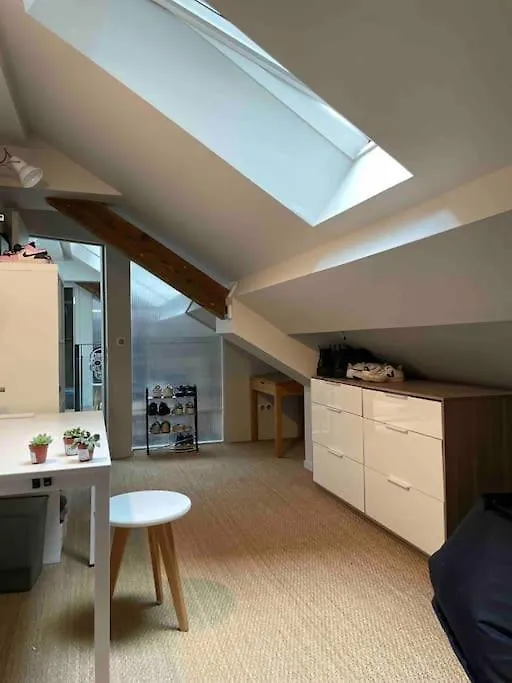 Apartment Appartement Loft Centre Ville Situe Dans Rue Calme Grenoble