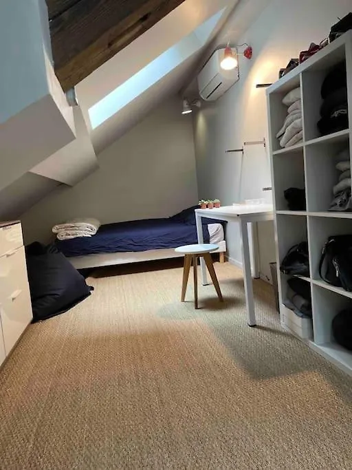 Appartement Loft Centre Ville Situe Dans Rue Calme Grenoble Apartment