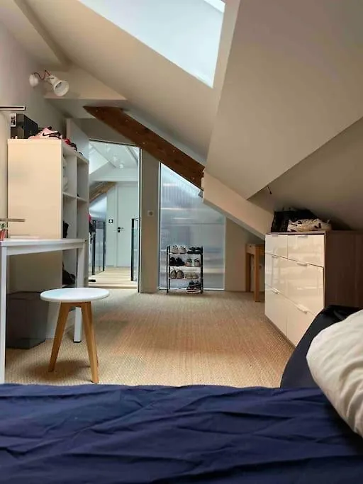 Appartement Loft Centre Ville Situe Dans Rue Calme Grenoble 0*,