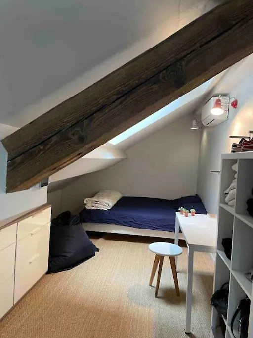 Appartement Loft Centre Ville Situe Dans Rue Calme Grenoble France