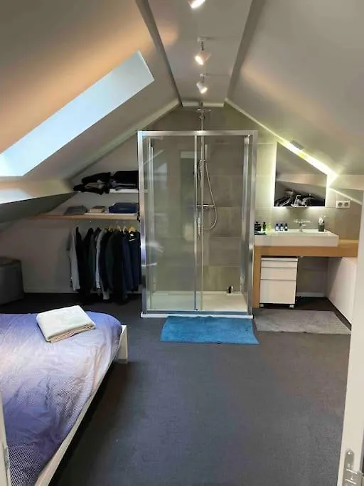 Appartement Loft Centre Ville Situe Dans Rue Calme Grenoble France